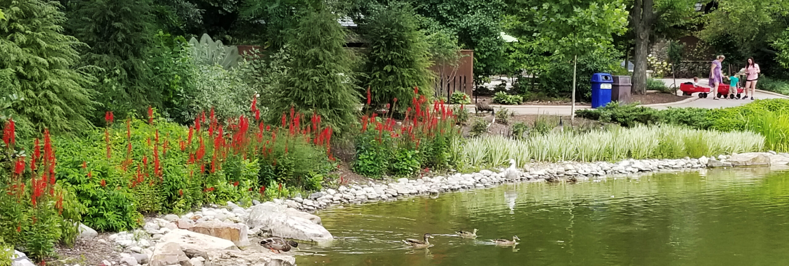 full size image of duck pond at Fort Wayne Zoo to highlight landscape